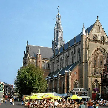 De Zwarte Os